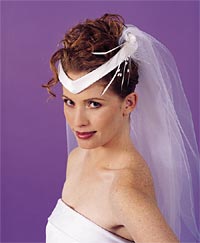 Crowning glories wedding veil from JoAnn Stores at www.joann.com