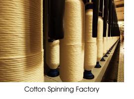 lts_cotton_spinning_factory