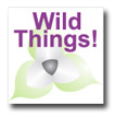 Wild Things! FREE pattern drafting software